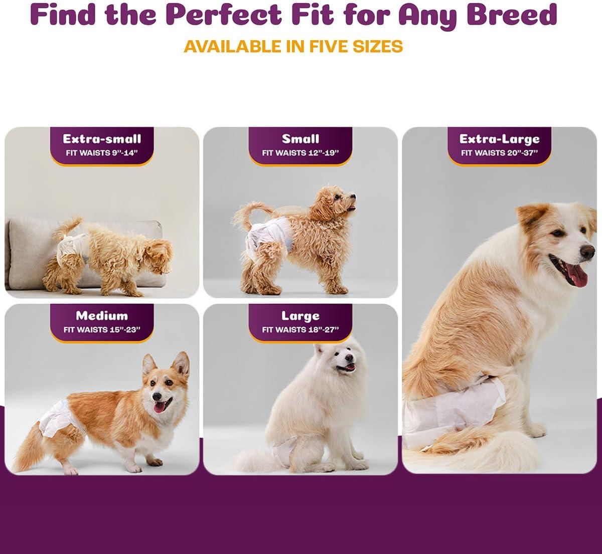 image:imageInspire Pet Care Dog Diapers Female Dogs Bulk Value Doggie Incontinence Accidents for Heat Pee or Period and Housebreaking XSmall 50 CountLarge 30 Count
