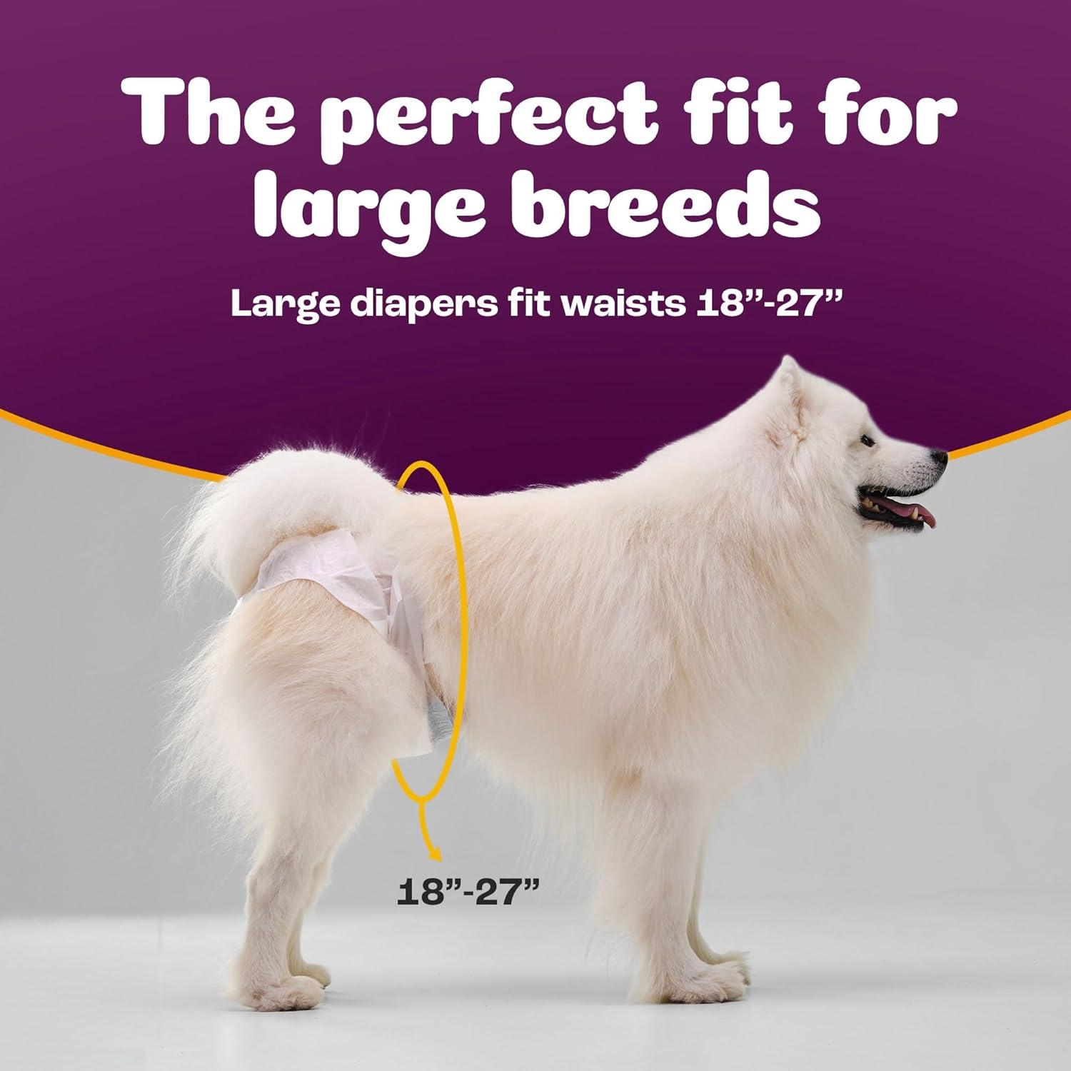 image:imageInspire Pet Care Dog Diapers Female Dogs Bulk Value Doggie Incontinence Accidents for Heat Pee or Period and Housebreaking XSmall 50 CountLarge 30 Count