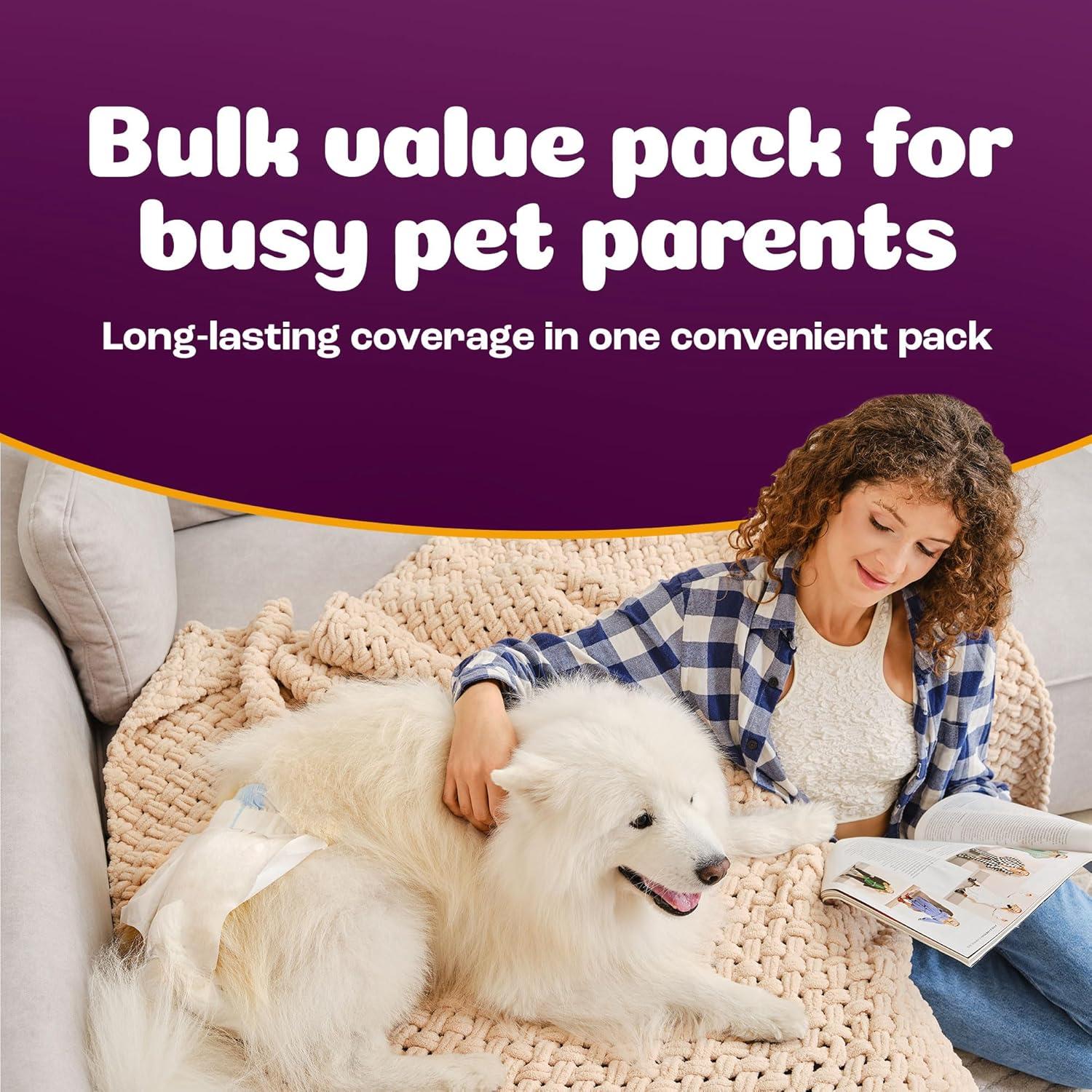 image:imageInspire Pet Care Dog Diapers Female Dogs Bulk Value Doggie Incontinence Accidents for Heat Pee or Period and Housebreaking XSmall 50 CountLarge 60 Count