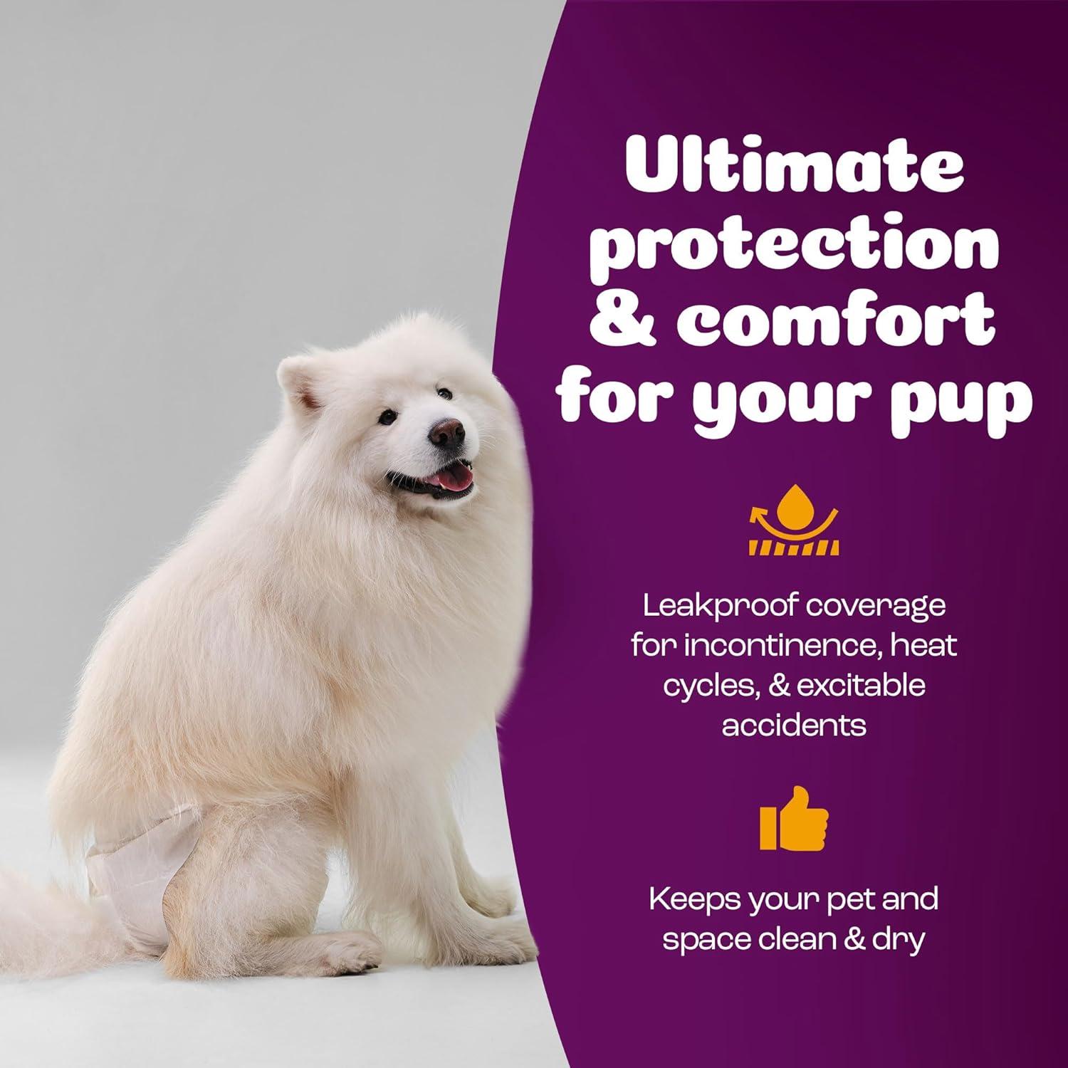 image:imageInspire Pet Care Dog Diapers Female Dogs Bulk Value Doggie Incontinence Accidents for Heat Pee or Period and Housebreaking XSmall 50 CountLarge 60 Count