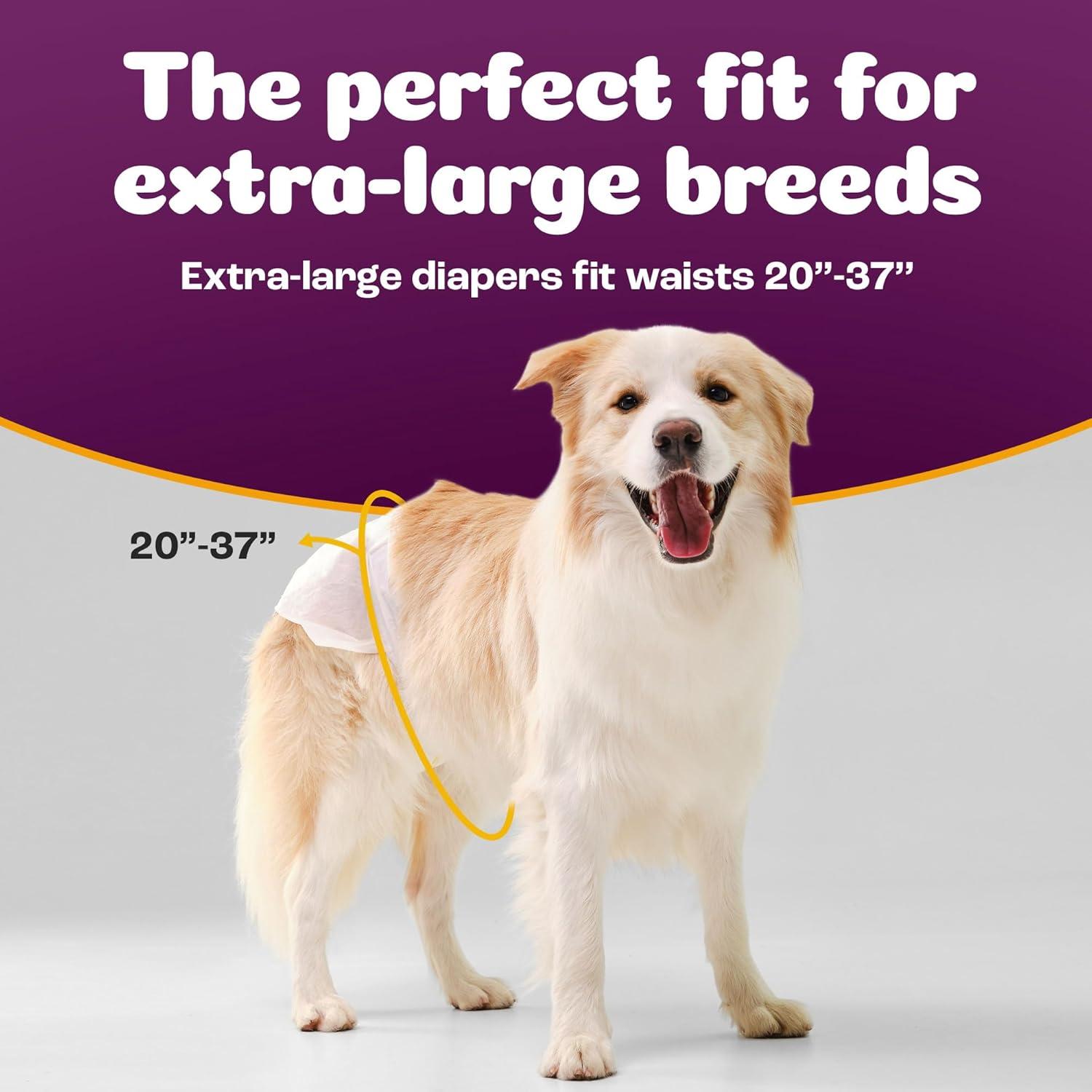 image:imageInspire Pet Care Dog Diapers Female Dogs Bulk Value Doggie Incontinence Accidents for Heat Pee or Period and Housebreaking XSmall 50 CountXLarge 28 Count