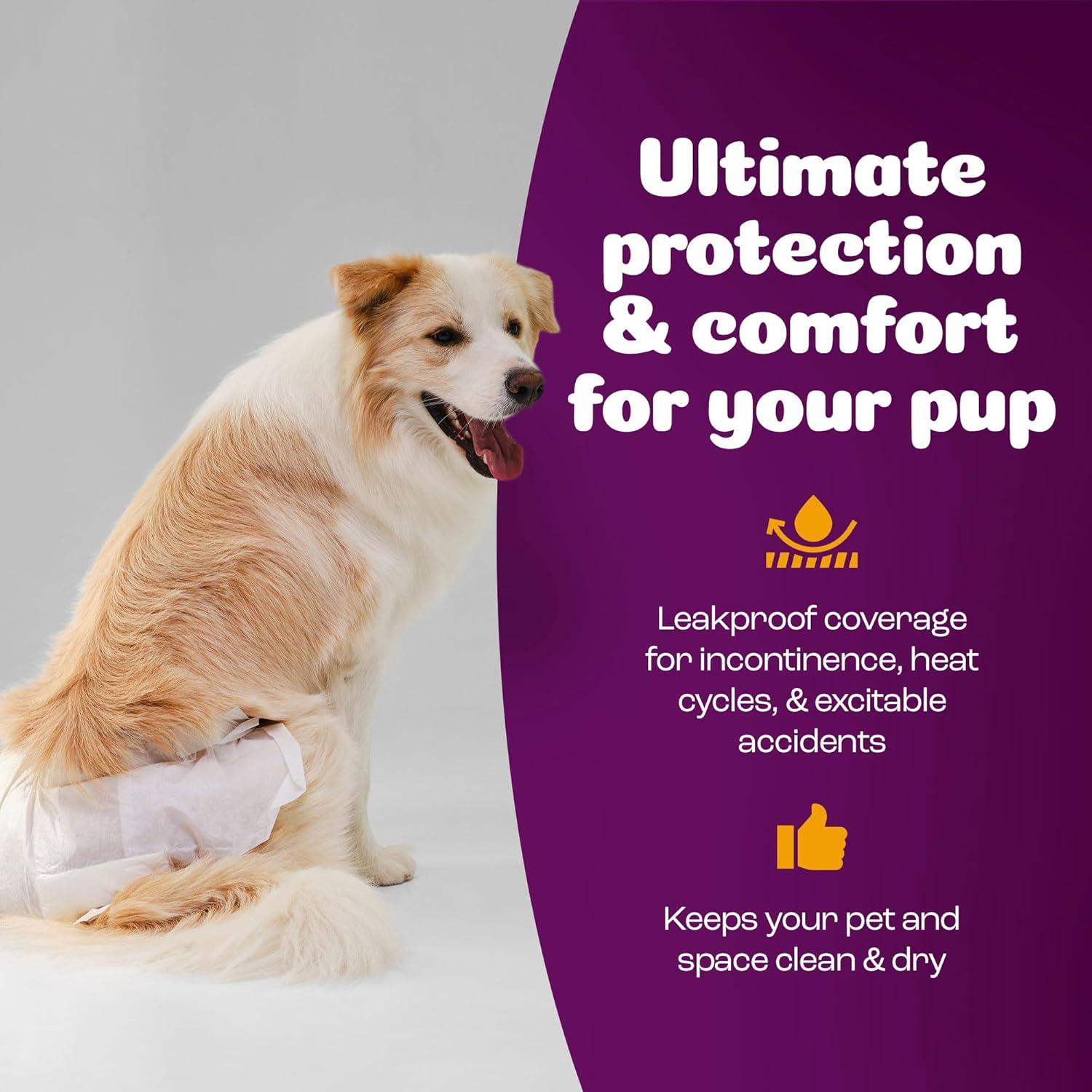 image:imageInspire Pet Care Dog Diapers Female Dogs Bulk Value Doggie Incontinence Accidents for Heat Pee or Period and Housebreaking XSmall 50 CountXLarge 56 Count