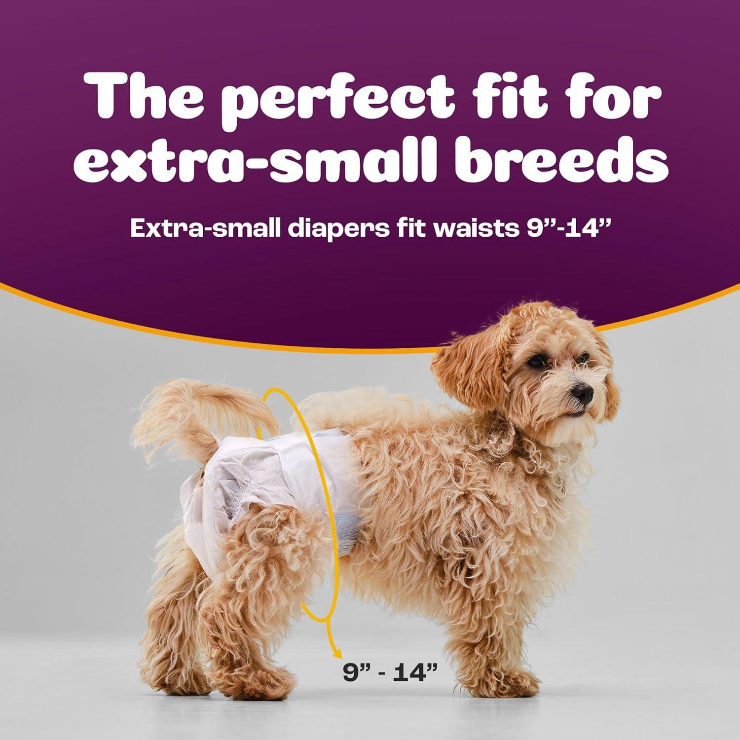 image:imageInspire Pet Care Dog Diapers Female Dogs Bulk Value Doggie Incontinence Accidents for Heat Pee or Period and Housebreaking XSmall 50 CountXSmall 100 Count