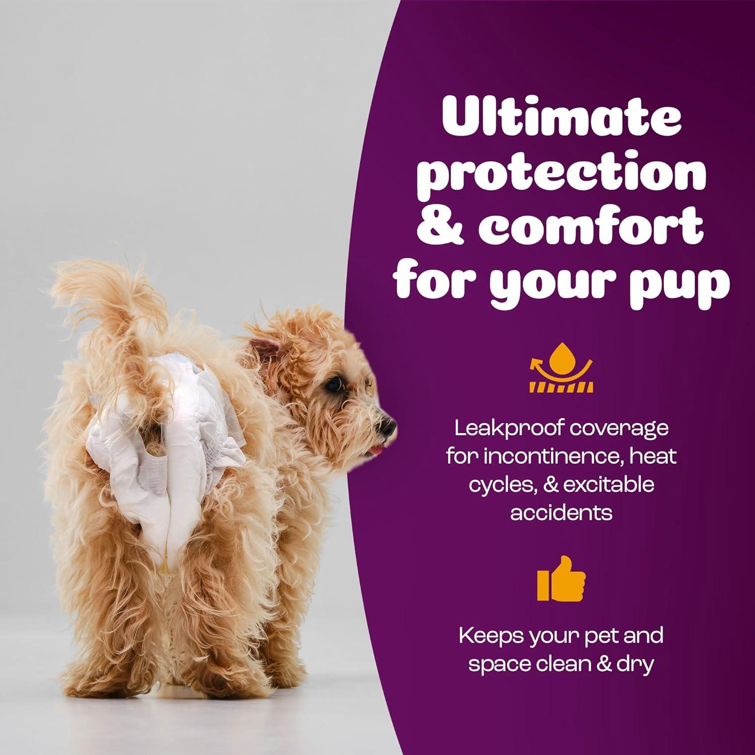 image:imageInspire Pet Care Dog Diapers Female Dogs Bulk Value Doggie Incontinence Accidents for Heat Pee or Period and Housebreaking XSmall 50 CountXSmall 100 Count