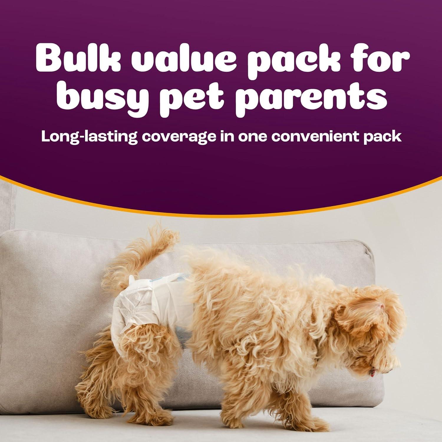 image:imageInspire Pet Care Dog Diapers Female Dogs Bulk Value Doggie Incontinence Accidents for Heat Pee or Period and Housebreaking XSmall 50 CountXSmall 50 Count